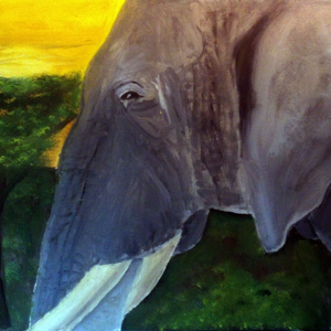 Portrait Elefantenkopf