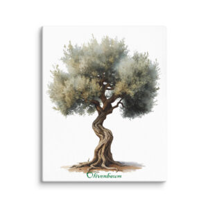 Olivenbaum Leinwand – Mediterrane Ruhe für dein Zuhause