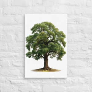 Eiche Leinwand 40x60 cm – Baum Wandbild – Natur Deko – Ruhiges Waldmotiv – Botanisches Kunstbild – Minimalistische Wandkunst