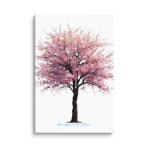 Sakura Kirschblütenbaum Leinwand 40x60 cm – Japanische Kirschblüte Wandbild – Minimalistisches Naturmotiv – Ruhige moderne Dekoration
